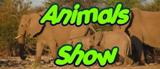 Animals Show