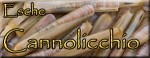 Cannolicchio
