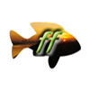Fishing Friends Forum